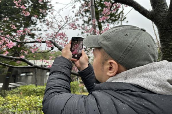 將畫面上的方框?qū)?zhǔn)主體后長按至顯示“自動曝光/自動對焦鎖定”，再將手機(jī)移動到其他花前做出前景。