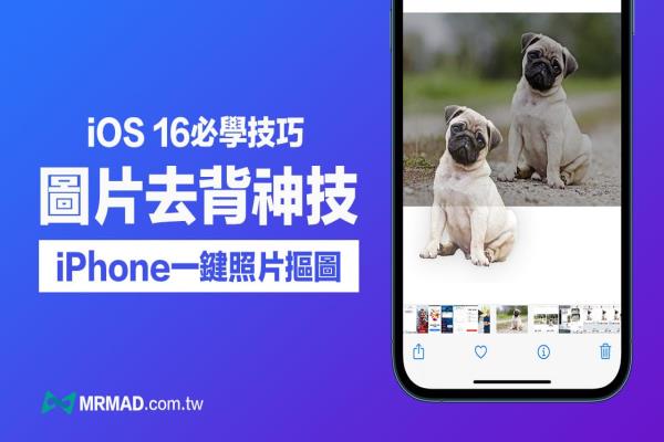 iOS 16“照片去背景”技巧教學，用iPhone內建一鍵摳圖超神速