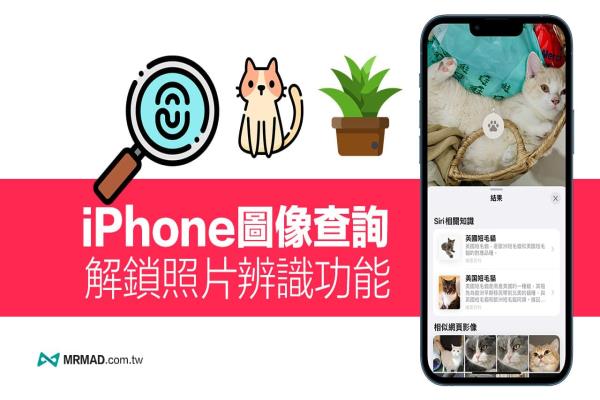 iPhone圖像查詢怎么用？教你解鎖iOS 照片辨識功能